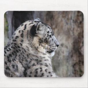 Schnee-Leopard mousepad