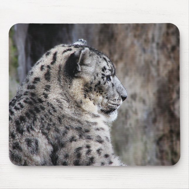 Schnee-Leopard mousepad (Vorne)