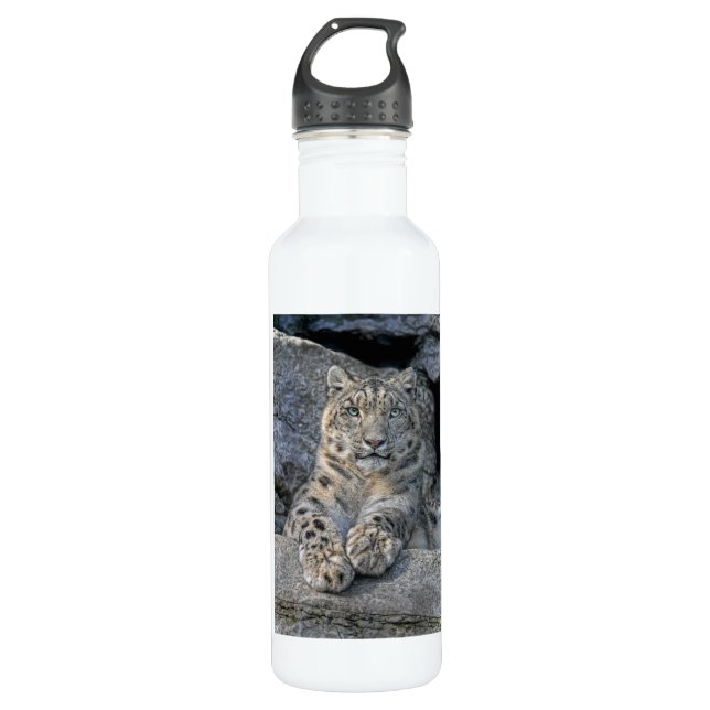 Schnee-Leopard nach Augen Edelstahlflasche (Vorderseite)