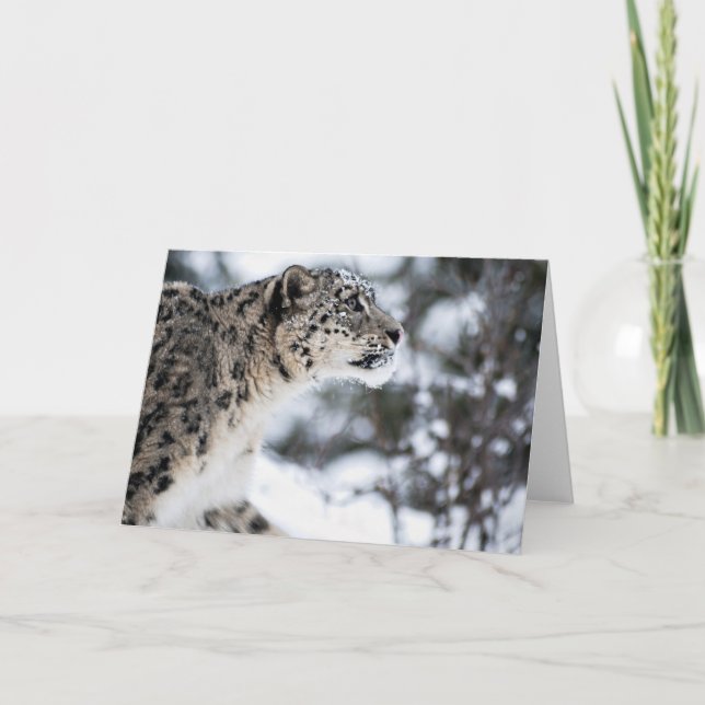 Schnee-Leopard-Profil Karte (Vorderseite)