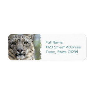 Schnee-Leopard-Rücksendeadressemailings-Aufkleber