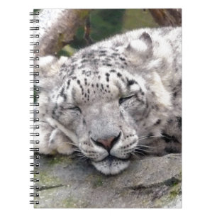 Schnee Leopard - schön! Notizblock