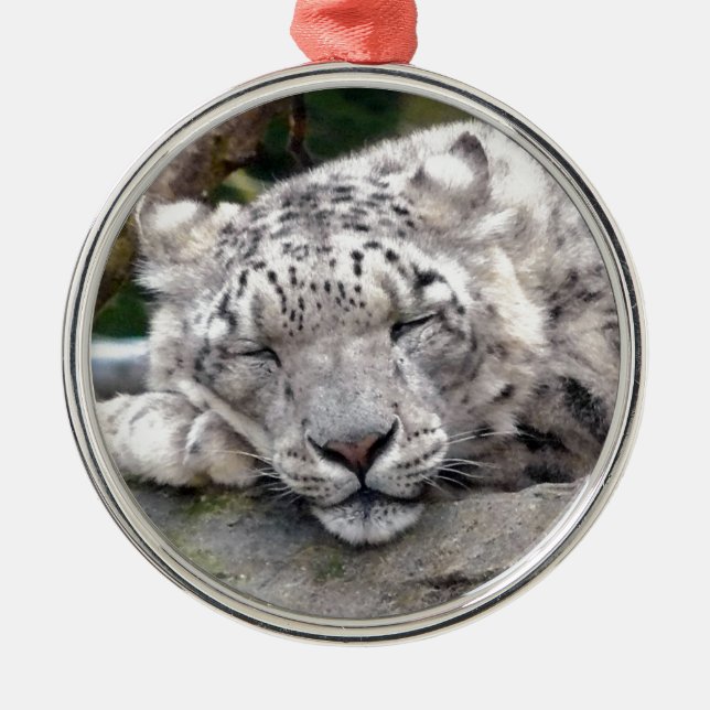 Schnee Leopard - schön! Silbernes Ornament (Vorne)