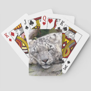 Schnee Leopard - schön! Spielkarten
