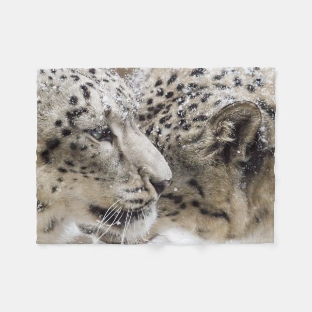 Schnee-Leopard-Umarmung Fleecedecke (Vorderseite (Horizontal))