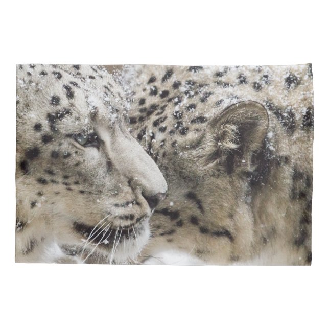 Schnee-Leopard-Umarmung Kissenbezug (Rückseite)