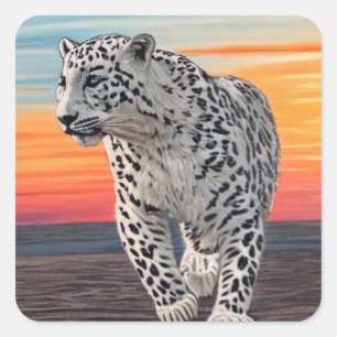 Schnee Leopard Wandern am Strand bei Sonnenunterga Quadratischer Aufkleber