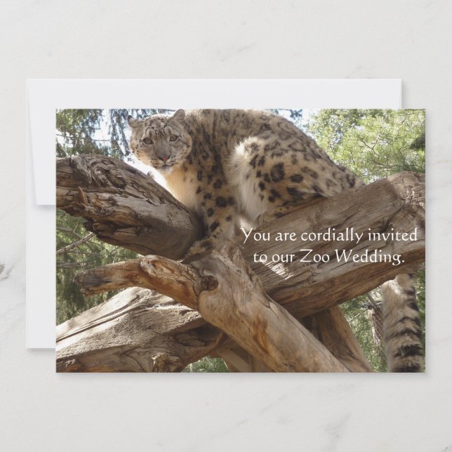 Schnee-Leopard-Zoo-Hochzeits-Einladungen Einladung (Vorderseite)