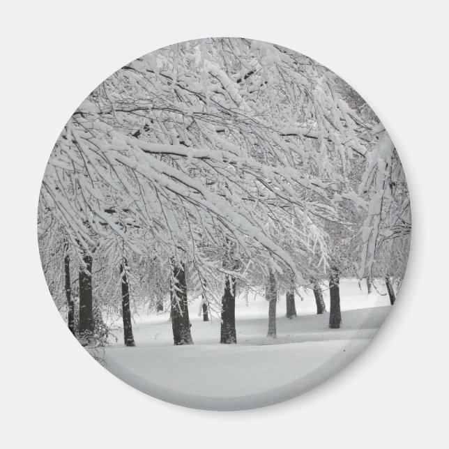 Schnee Magnet (Vorne)