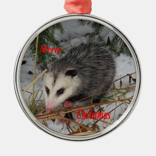 Schnee-Opossum Silbernes Ornament (Vorne)