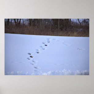 Schnee Poster