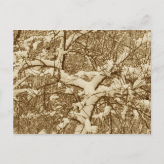 Schnee-Postkarte Postkarte