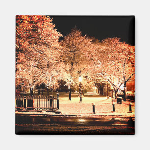 Schnee Salem Common Massachusetts Foto Magnet