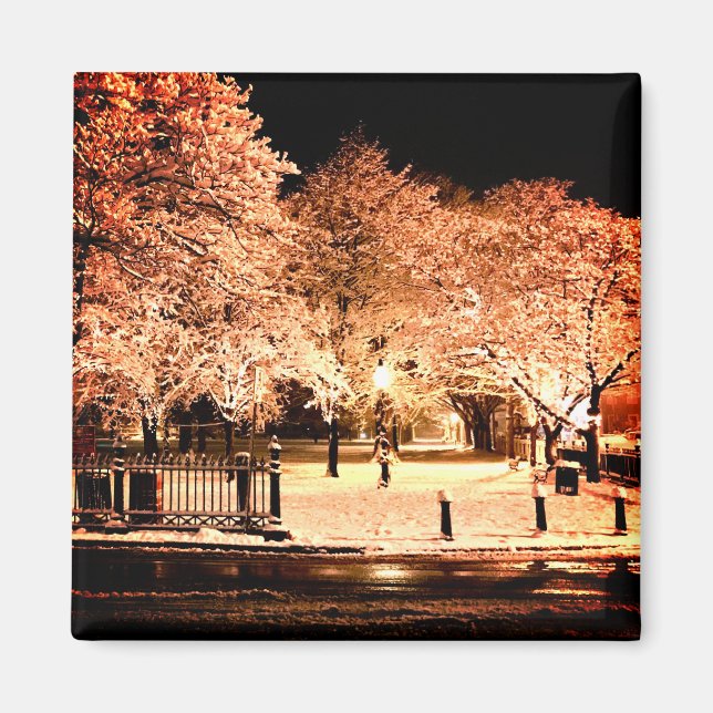 Schnee Salem Common Massachusetts Foto Magnet (Vorne)