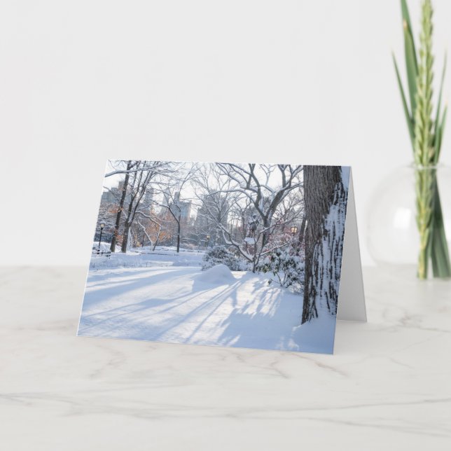 Schnee-Schatten Karte (Vorderseite)