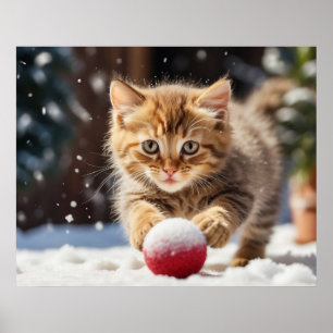 *~* Schnee Spielt Ball Katze 5:4  Kätzchen Katze A Poster