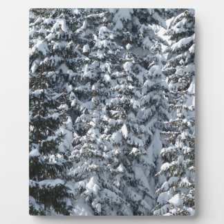 Schnee Tannenbaum Textur Fotoplatte