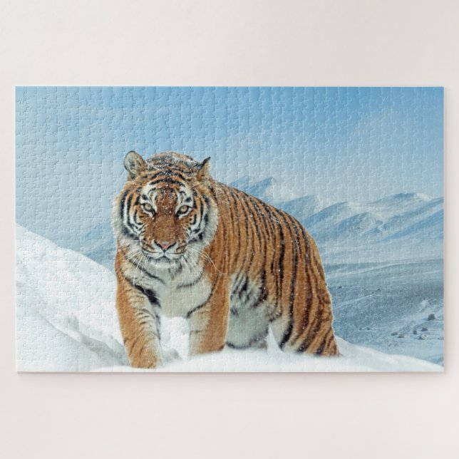 Schnee Tiger Berge Tierisches Foto Trendy Winter (Horizontal)