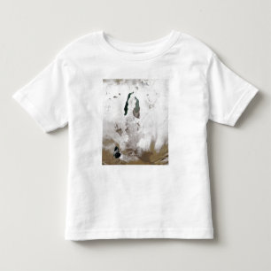 Schnee um das Aral-Meer Kleinkind T-shirt