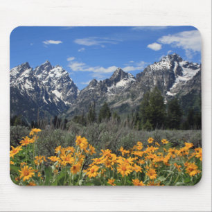 Schnee umfaßte großartige Teton Strecke mit gelben Mousepad