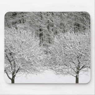 Schnee umfaßte Landschaft Mousepad