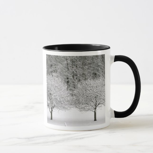 Schnee umfaßte Landschaft Tasse (Rechts)