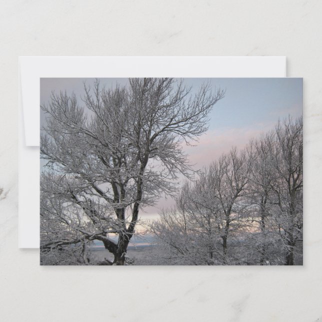 Schnee umfaßte Niederlassungen Einladung (Vorderseite)