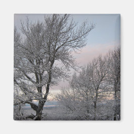 Schnee umfaßte Niederlassungen Magnet