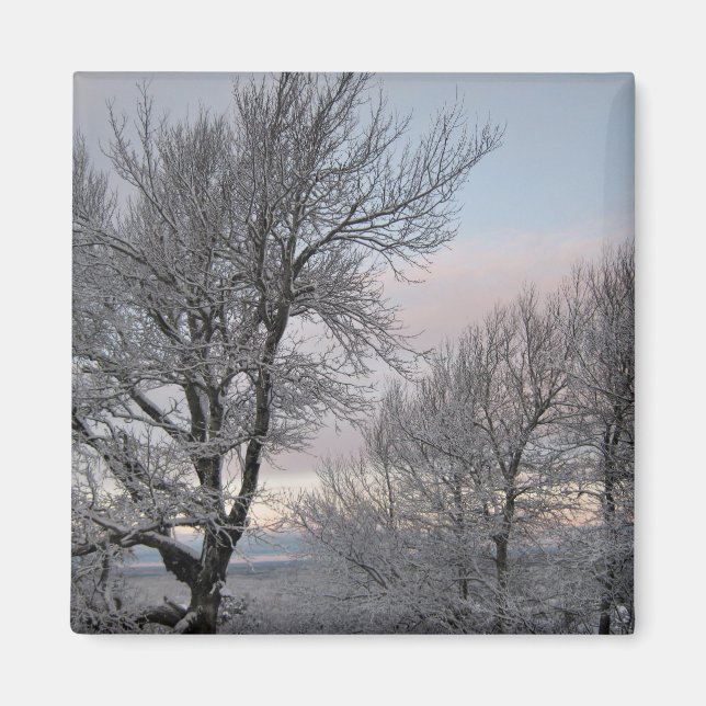 Schnee umfaßte Niederlassungen Magnet (Vorne)