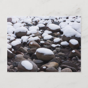 Schnee und Felsen, Mt. Rainier Nationalpark Postkarte