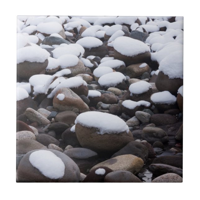 Schnee und Felsen, Nationalpark Rainier Fliese (Vorderseite)