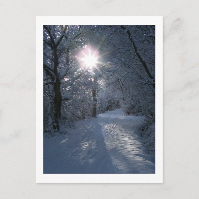 Schnee und Licht Postkarte (Vorderseite)