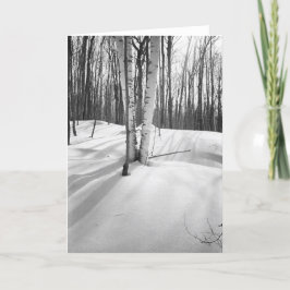 Schnee und weiße Birken Karte