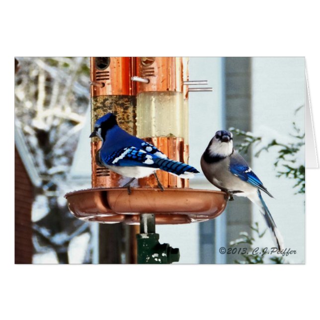 "Schnee-Vögel 2" (Vorderseite (Horizontal))