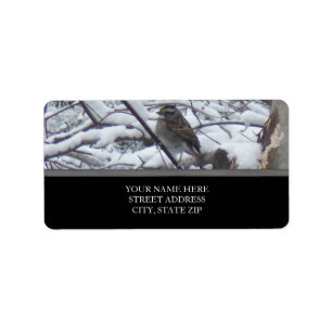 Schnee-Vogel-Adressen-Etiketten Adressaufkleber