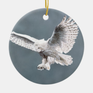 Schnee wings Verzierung Keramikornament