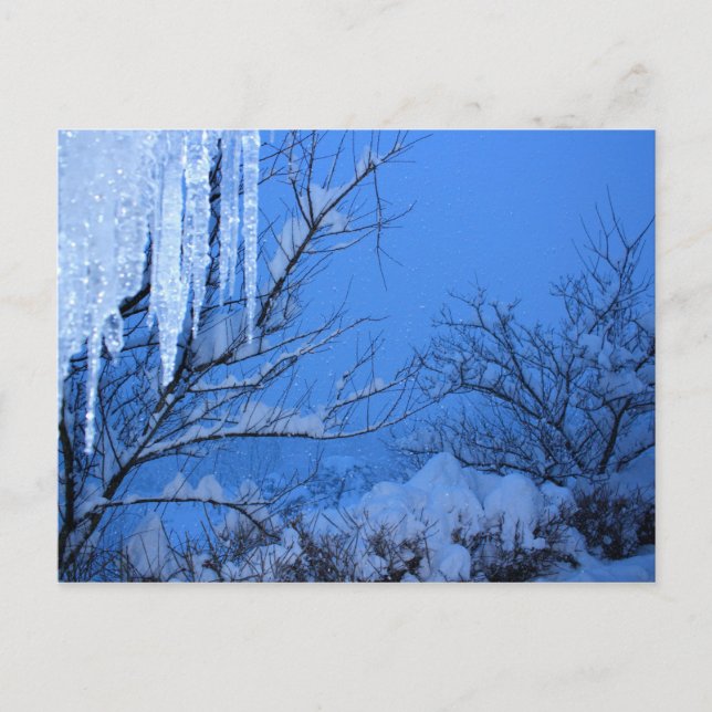 Schnee - Winter Postkarte (Vorderseite)