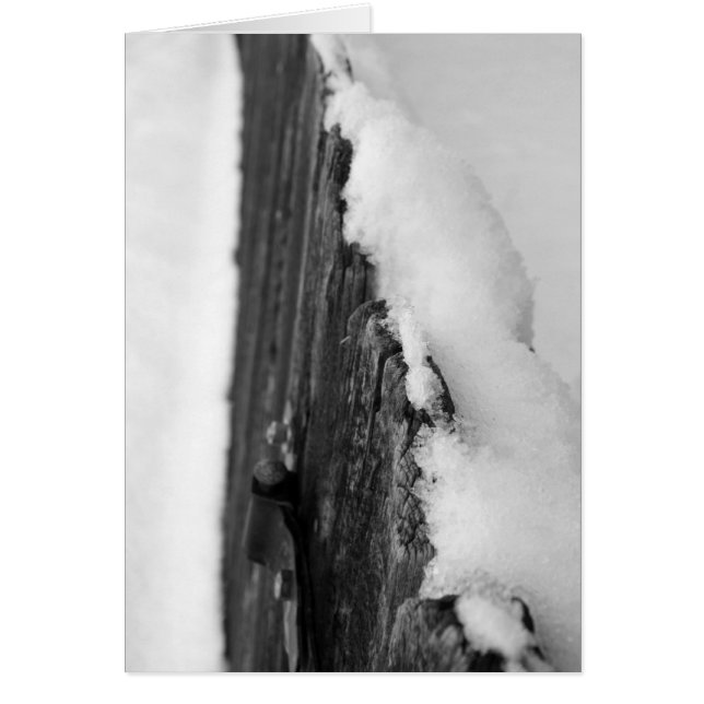 Schnee-Zaun (Vorne)