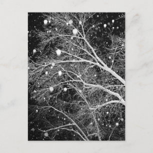 Schnee zwischen Branchen Postkarte