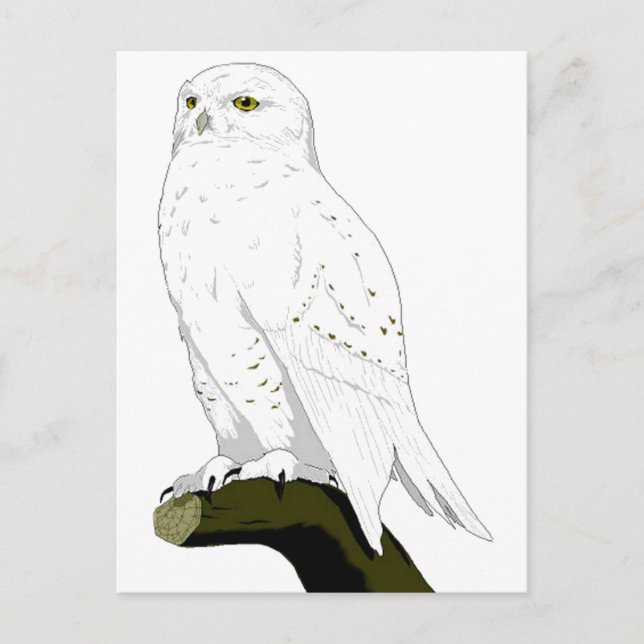 Schneeauge Postkarte (Vorderseite)