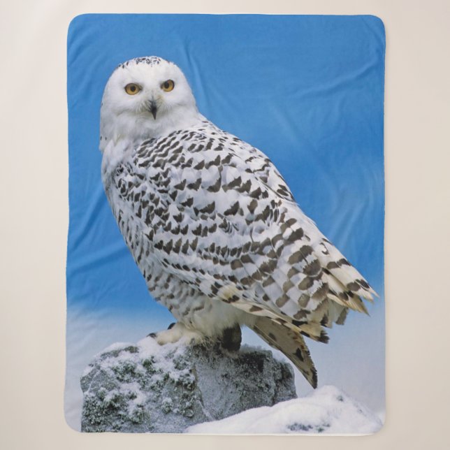 Schneeauge Sherpadecke (Vorderseite)