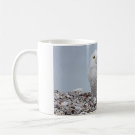 Schneeauschale auf Muscheln   Kaffeetasse