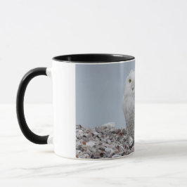 Schneeauschale auf    MuschelnKaffeemaschine Tasse