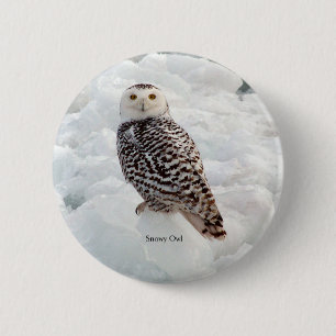 Schneeauuling Button