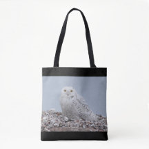 Schneeauwl auf Muscheln Tasche