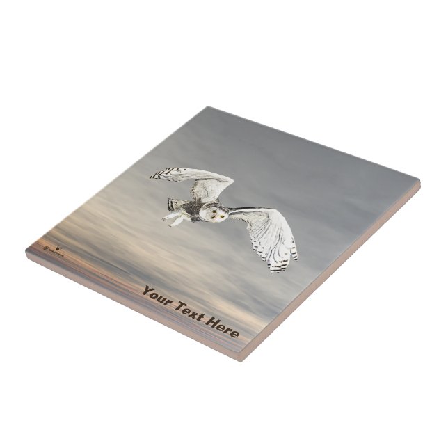 Schneeauwl Fliese (Seite)