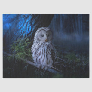 Schneeauwl in der Nacht Seidenpapier