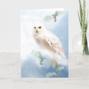 Schneeauwl Karte