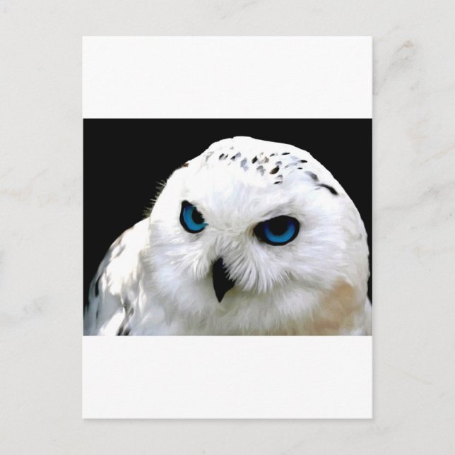 Schneeauwl Postkarte (Vorderseite)