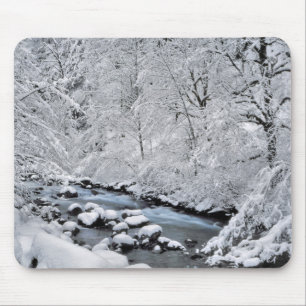 Schneebach Creek, Oregon, landschaftlich schön Mousepad